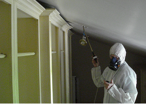 mould inspection -wall cavity